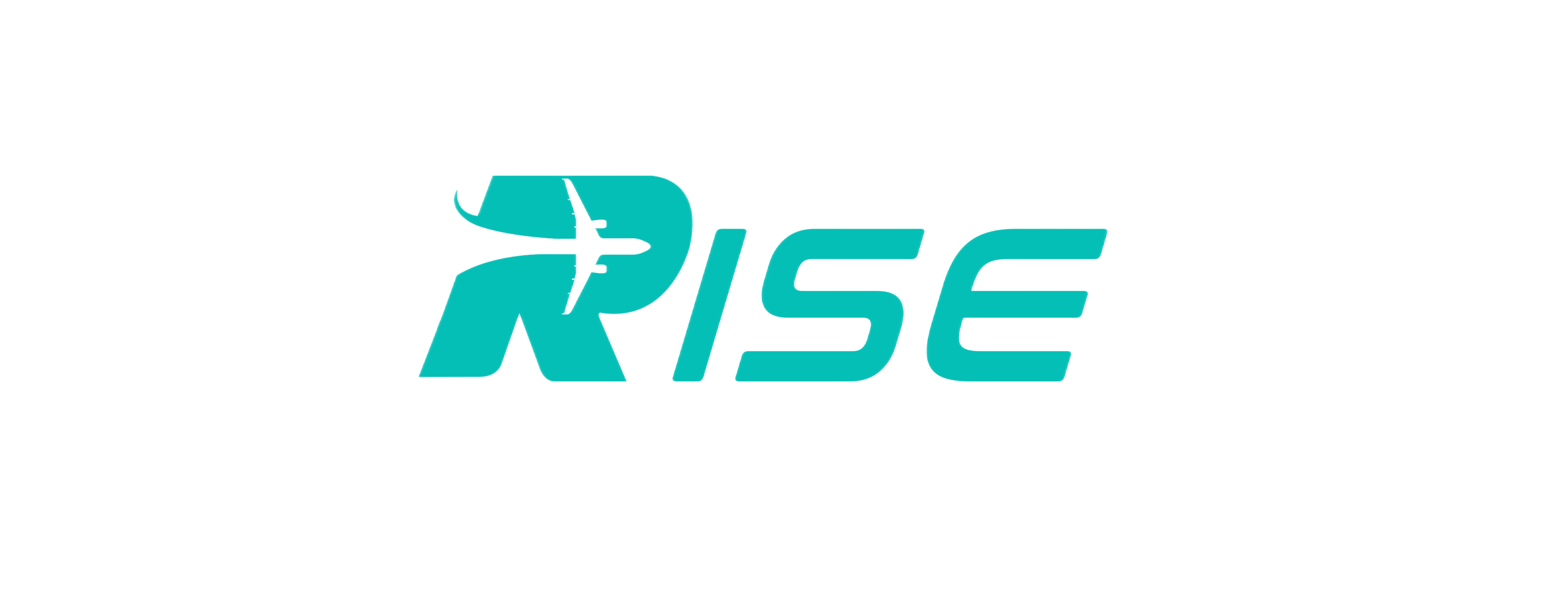 Rise Aerospace Support